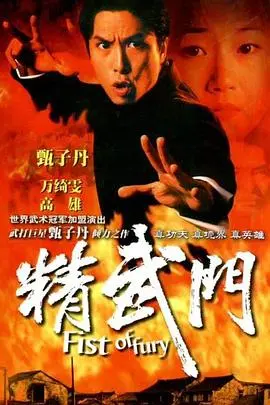 重温经典：甄子丹《精武门1995》国语版，热血武魂再燃！