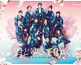 《与你一起绽放 新选组青春录》：刀光剑影下的热血青春与梦想，幕末武士道的另类解读